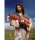 Jesus / Foal Print